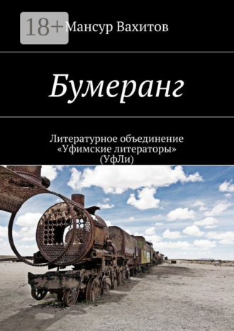 Обложка книги «Бумеранг»