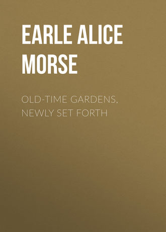 Earle Alice Morse. Old-Time Gardens, Newly Set Forth