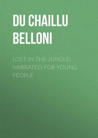 Обложка книги «Lost in the Jungle; Narrated for Young People»