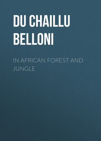 Обложка книги «In African Forest and Jungle»