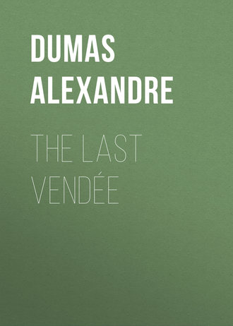 Обложка книги «The Last Vendée»
