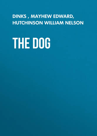 Обложка книги «The Dog»
