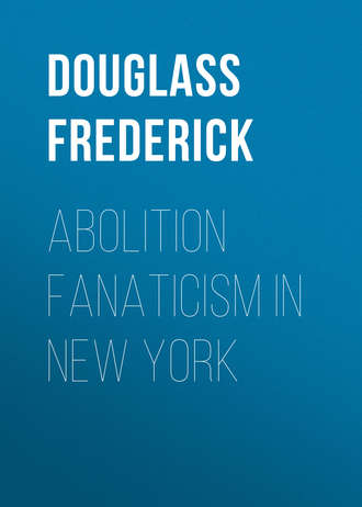 Обложка книги «Abolition Fanaticism in New York»