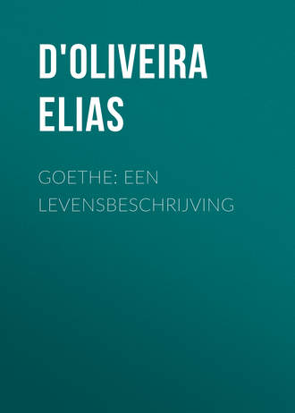Обложка книги «Goethe: Een Levensbeschrijving»