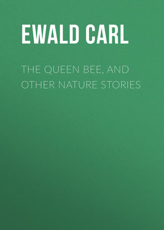 Обложка книги «The Queen Bee, and Other Nature Stories»