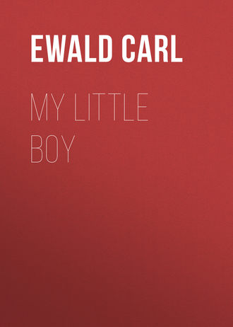 Обложка книги «My Little Boy»