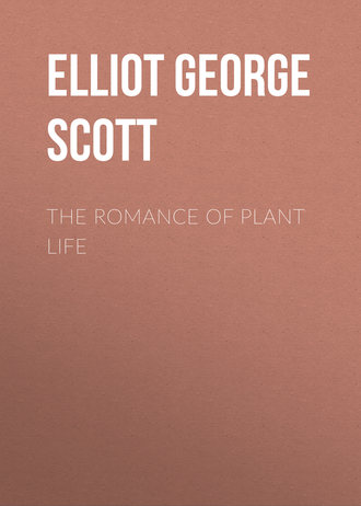 Обложка книги «The Romance of Plant Life»