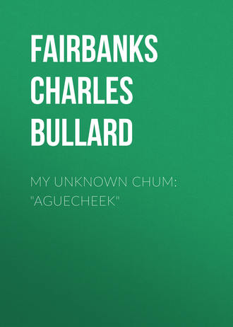 Обложка книги «My Unknown Chum: "Aguecheek"»