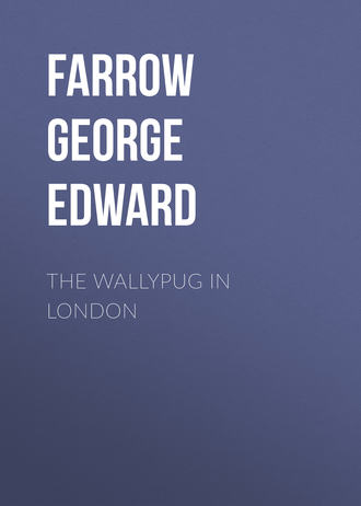 Обложка книги «The Wallypug in London»
