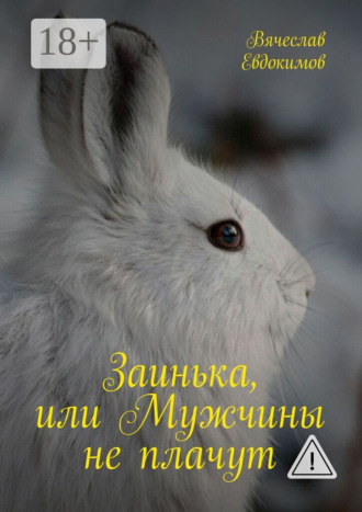 Обложка книги «Заинька, или Мужчины не плачут»