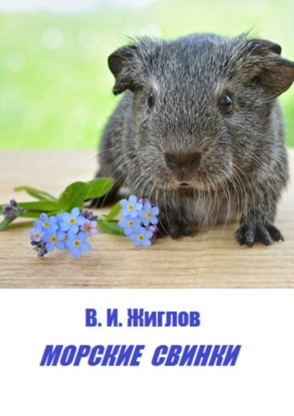 Обложка книги «Морские свинки»