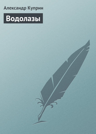 Обложка книги «Водолазы»