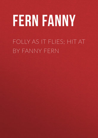 Обложка книги «Folly as It Flies; Hit at by Fanny Fern»