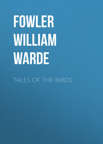 Fowler William Warde. Tales of the birds