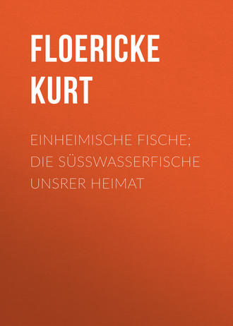 Обложка книги «Einheimische Fische; Die Süßwasserfische unsrer Heimat»