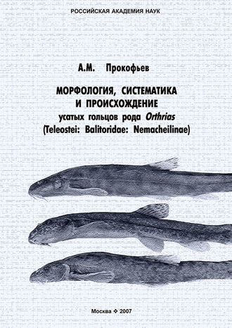Обложка книги «Морфология, систематика и происхождение усатых гольцов рода Orthrias (Teleostei: Balitoridae: Nemacheilinae)»
