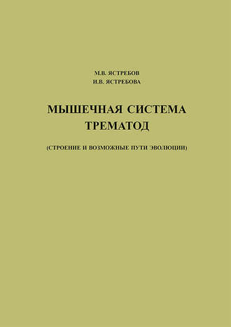 Обложка книги «Мышечная система трематод (строение и возможные пути эволюции)»