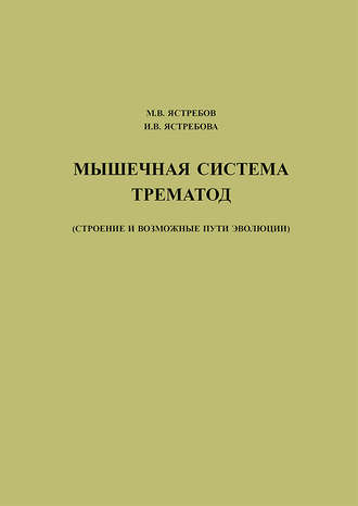 М. В. Ястребов. Мышечная система трематод (строение и возможные пути эволюции)