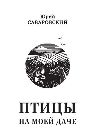 Обложка книги «Птицы на моей даче (сборник)»