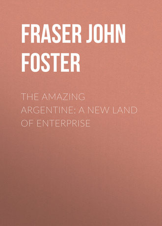 Обложка книги «The Amazing Argentine: A New Land of Enterprise»