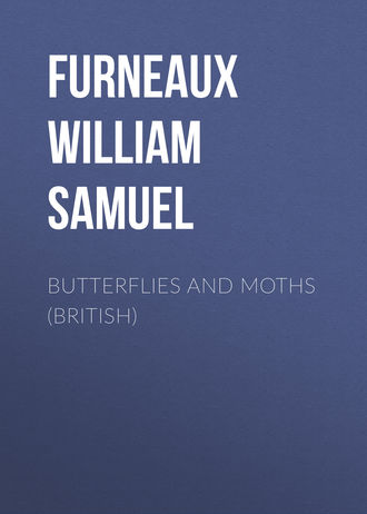 Обложка книги «Butterflies and Moths (British)»