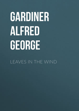 Обложка книги «Leaves in the Wind»