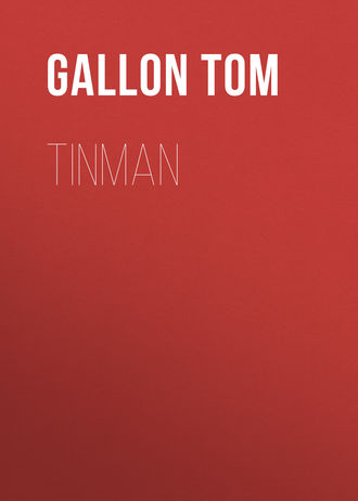 Обложка книги «Tinman»