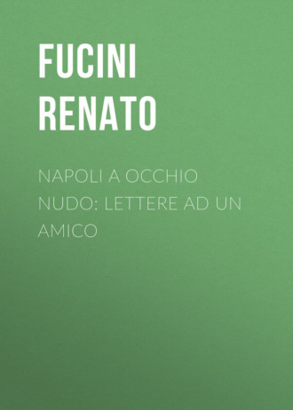 Обложка книги «Napoli a occhio nudo: Lettere ad un amico»