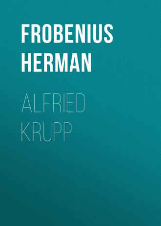 Обложка книги «Alfried Krupp»