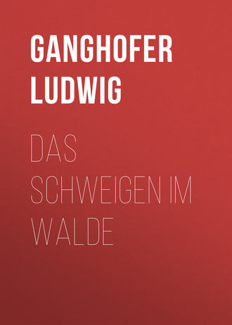Обложка книги «Das Schweigen im Walde»