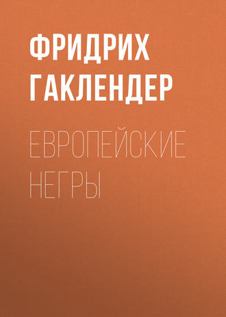 Обложка книги «Европейские негры»