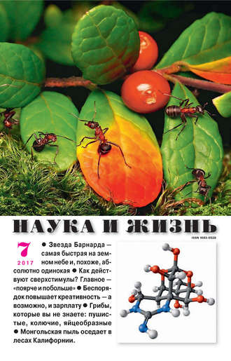 Обложка книги «Наука и жизнь №07/2017»