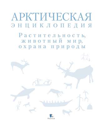 Обложка книги «Арктическая энциклопедия. Растительность, животный мир, охрана природы»