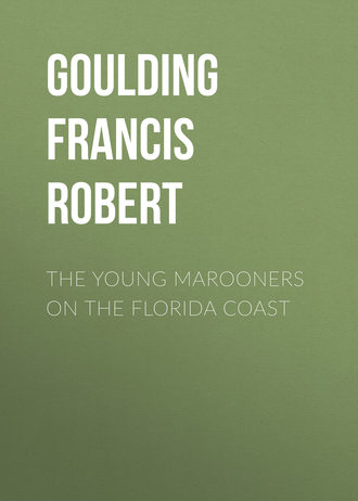 Обложка книги «The Young Marooners on the Florida Coast»