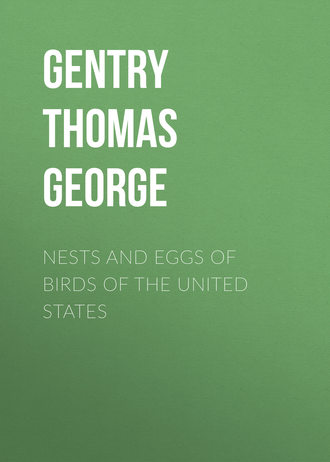 Обложка книги «Nests and Eggs of Birds of The United States»