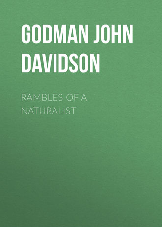 Обложка книги «Rambles of a Naturalist»