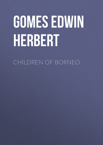 Обложка книги «Children of Borneo»