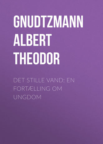 Gnudtzmann Albert Theodor. Det stille Vand: En Fort?lling om Ungdom