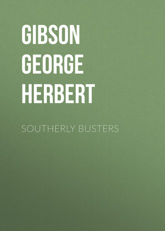 Обложка книги «Southerly Busters»