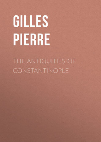 Gilles Pierre. The Antiquities of Constantinople