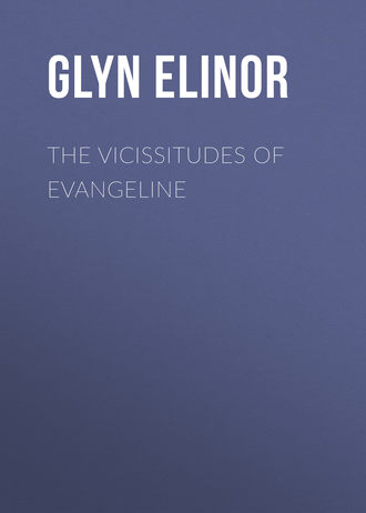 Обложка книги «The Vicissitudes of Evangeline»