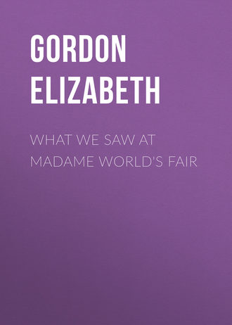 Обложка книги «What We Saw At Madame World's Fair»