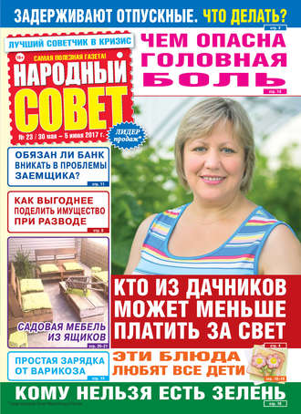 Обложка книги «Народный совет №23/2017»