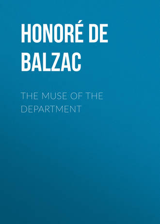 Обложка книги «The Muse of the Department»