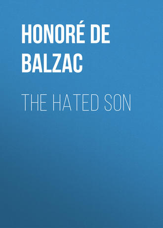 Обложка книги «The Hated Son»