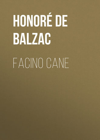 Обложка книги «Facino Cane»