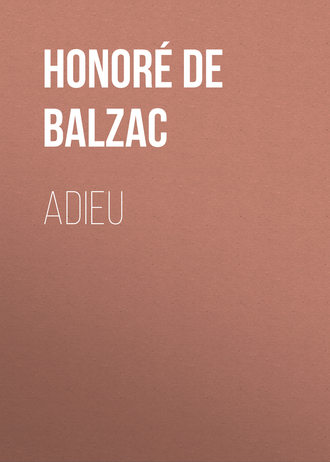 Обложка книги «Adieu»