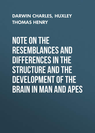 Обложка книги «Note on the Resemblances and Differences in the Structure and the Development of the Brain in Man and Apes»