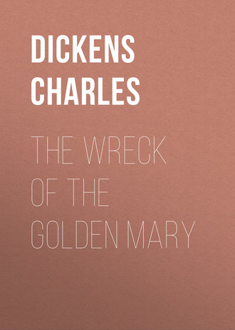 Обложка книги «The Wreck of the Golden Mary»