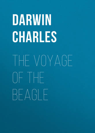 Обложка книги «The Voyage of the Beagle»